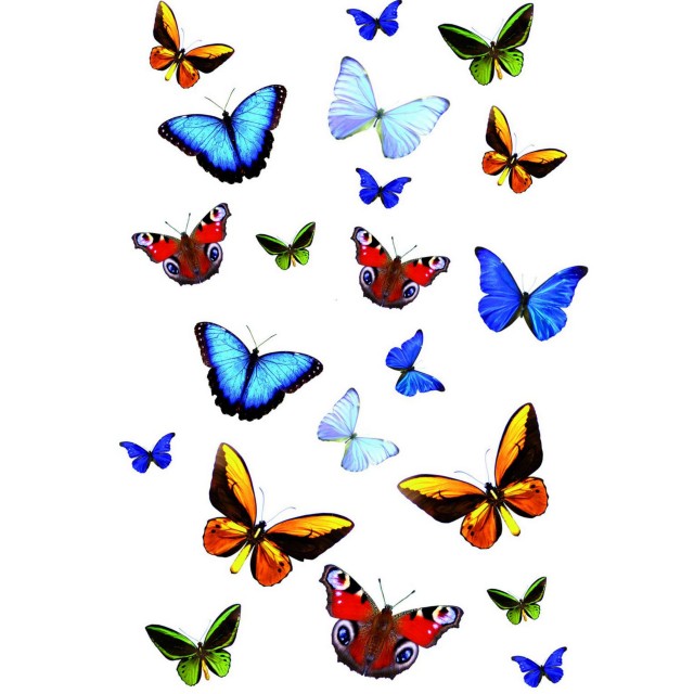 Sticker static decorativ Butterfly 15x23.5 cm (21 fluturasi) cod 34016 davopro 2021